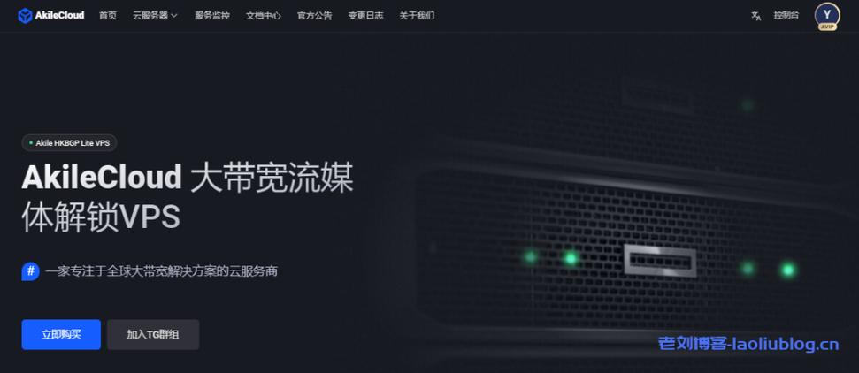 国外最便宜vps服务器_国外最便宜的服务器_探索国外最便宜的VPS服务器